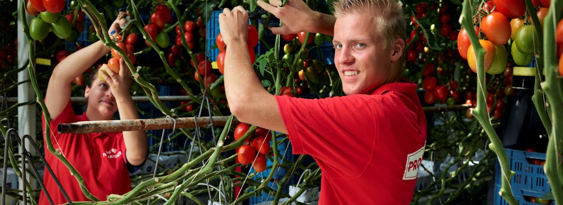 Zoek jouw vakantiebaan